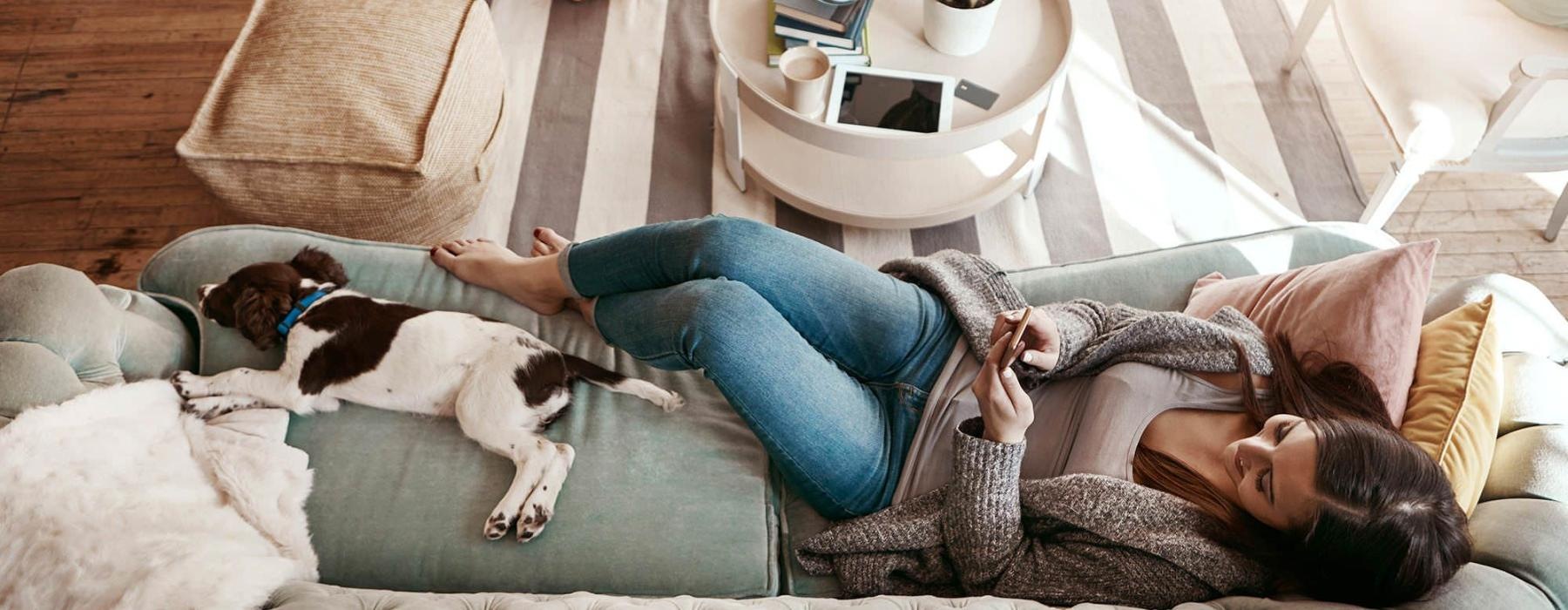 overhead view of  a woman texting as she lies on a couch with a dog at her feet