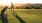 a couple of people playing golf in a field