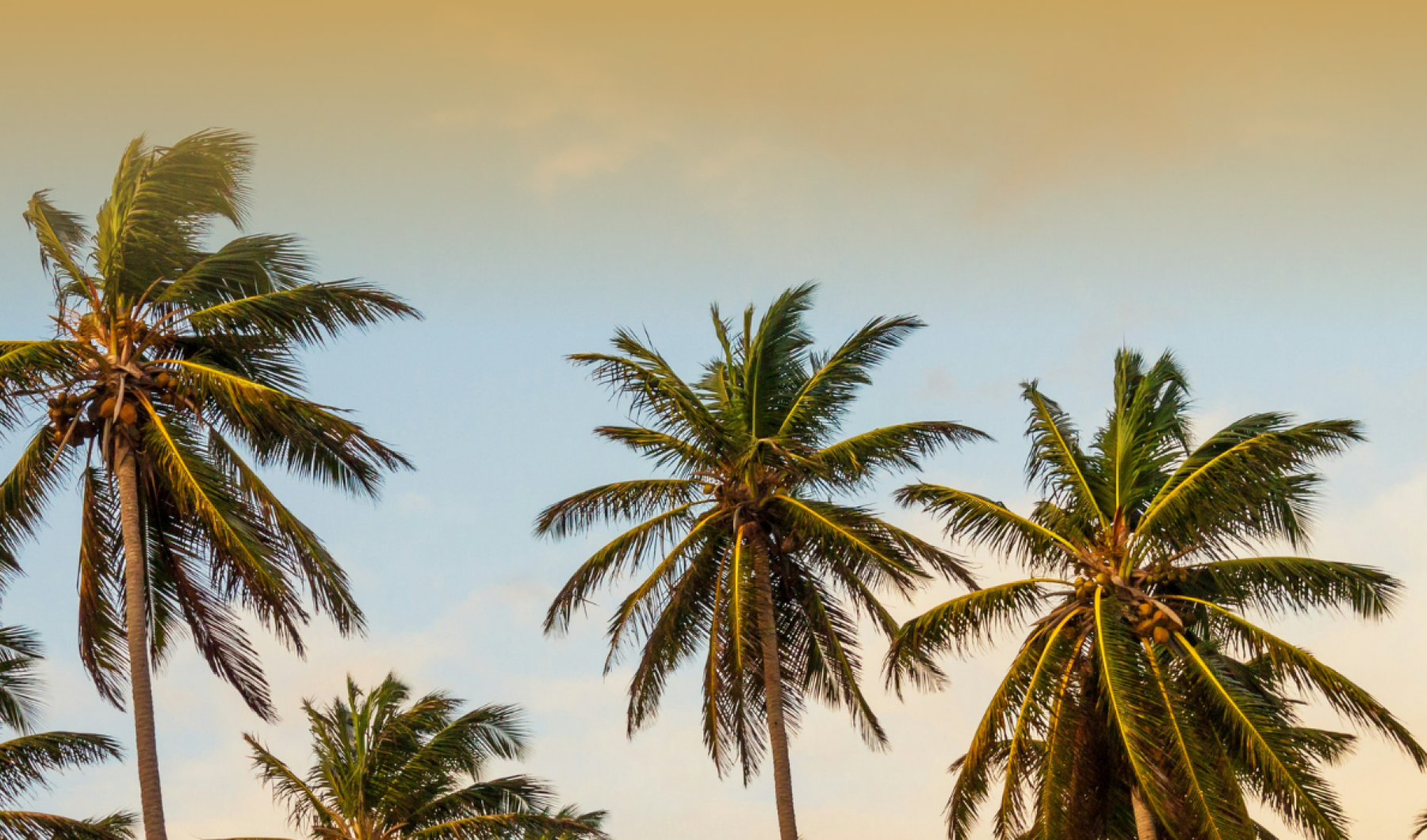 A Story Reimagined A Story Reimagined