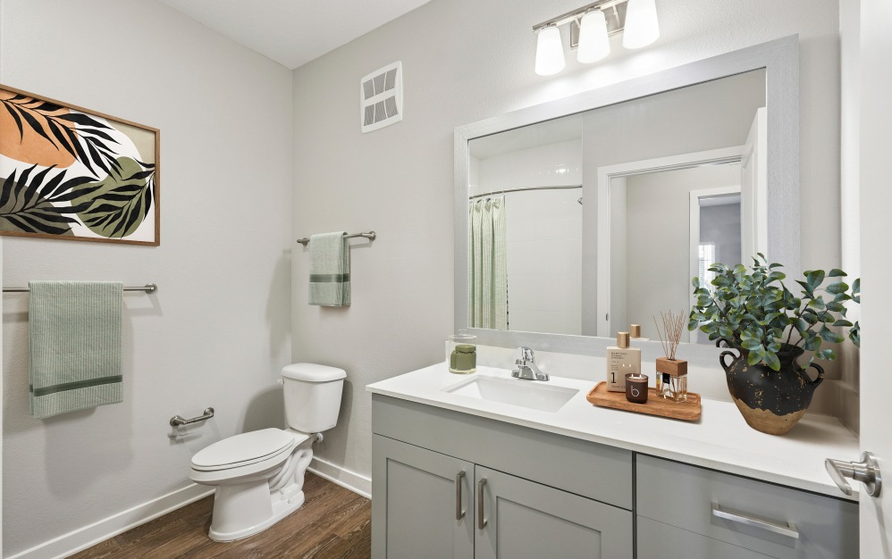 luxury bathrooms